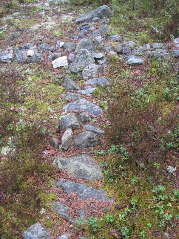Östra Sälsjömossen - naturreservat
