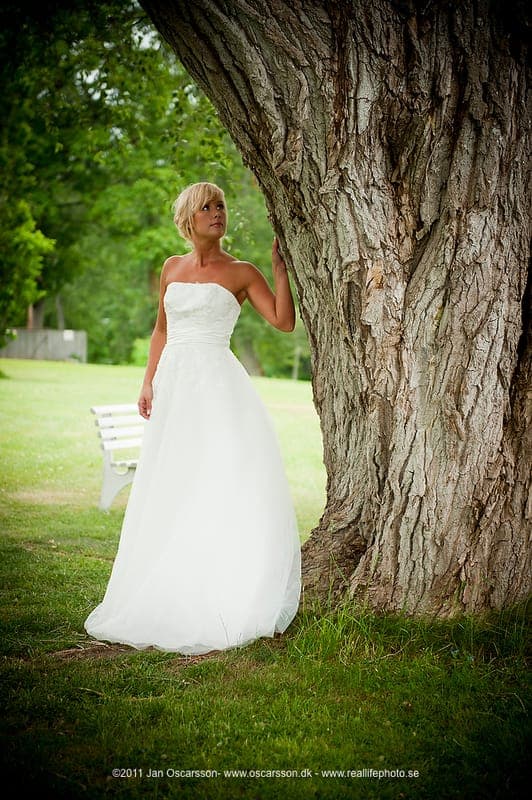 Fest och Bröllopspalatset