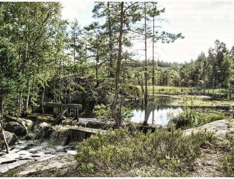 Ryttersfjället Naturreservat