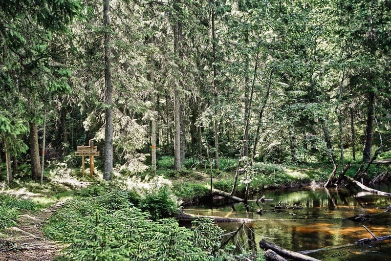 Vandra på Brattforsheden 