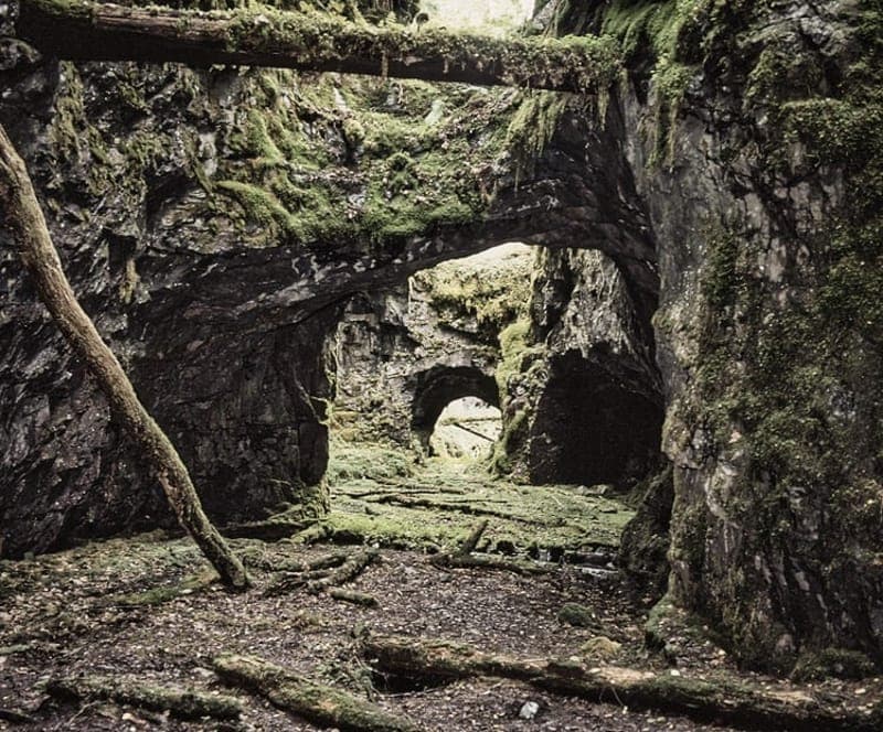 Högbergsfältet - Naturreservat