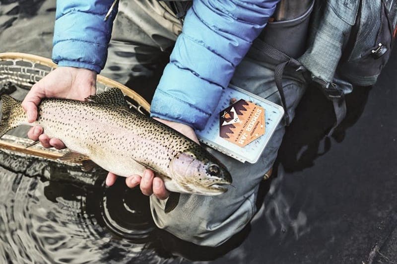 Nordmarksälvens fiskevårdsområde