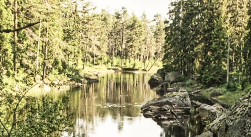 Svartån - Naturreservat