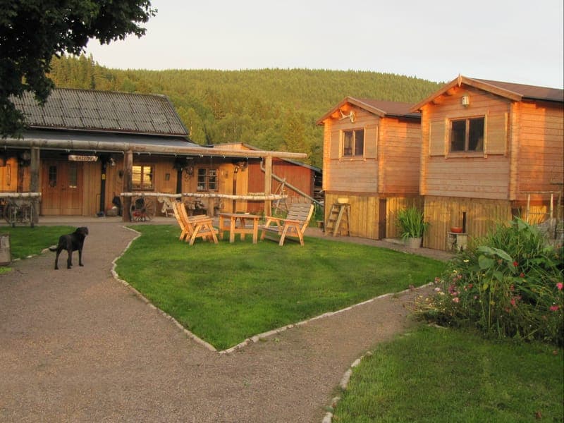 Aktiviteter Sun Dance Ranch