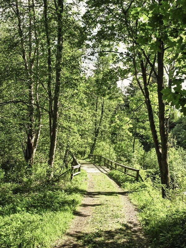 Hyttdalens vandringsstig
