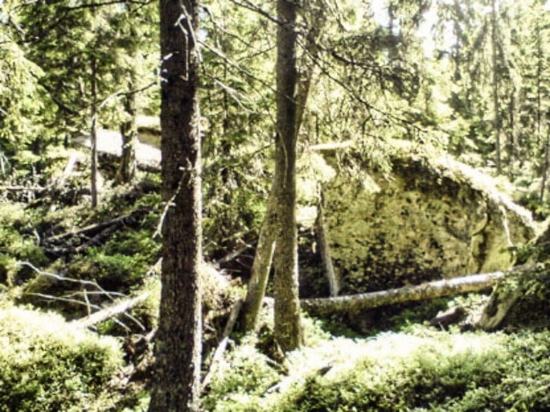 Naturreservatet Norskog Skallberget