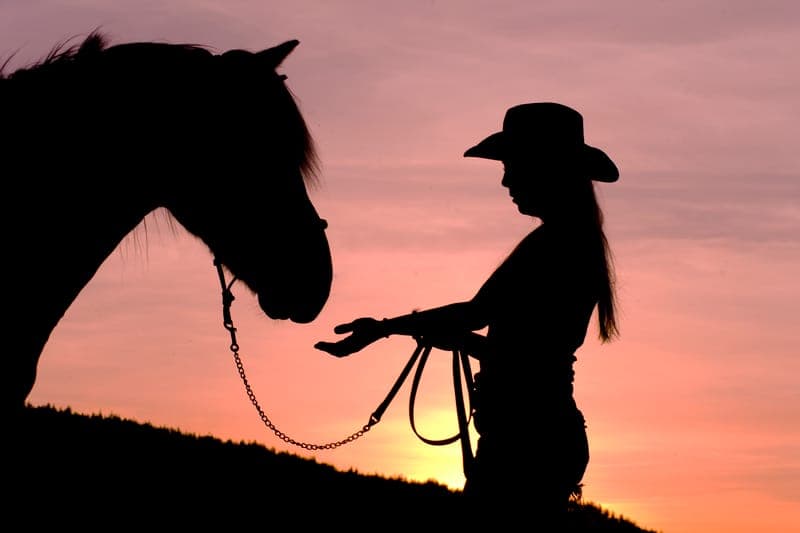Hästaktiviteter på Sun Dance Ranch