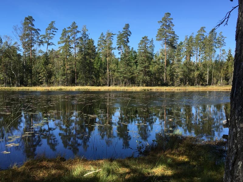 Vandring - Lunnedsleden