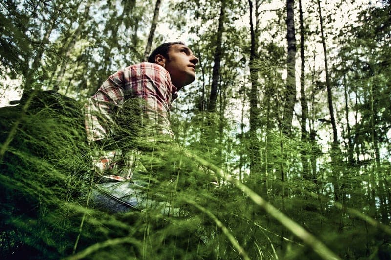 Vandring - Angsjöleden