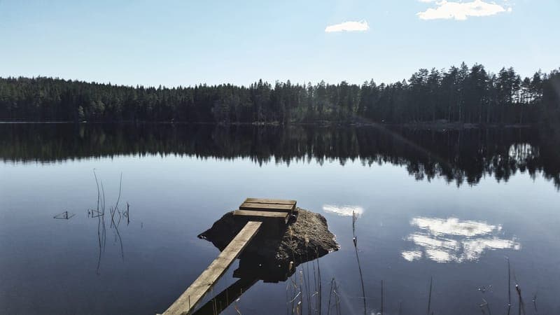 Fiskeupplevelse med guide