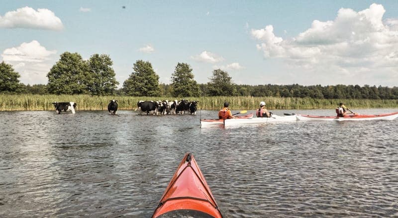 Vänerkajak - Uthyrning och butik
