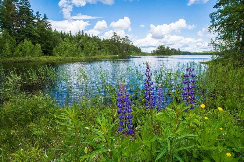 Vilångens fiskevårdsområde