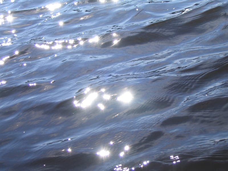 Lungsunds Fiskevårdsområde