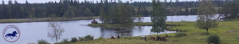 Kanot - Ölme Islandshästar