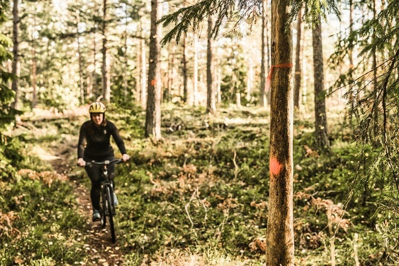 Cykla mountainbike - MTB Tegnérområdet