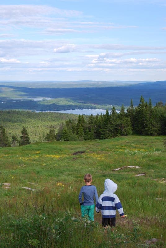 Hovfjällets naturreservat