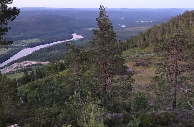 Guidad vandring på Branäsberget 