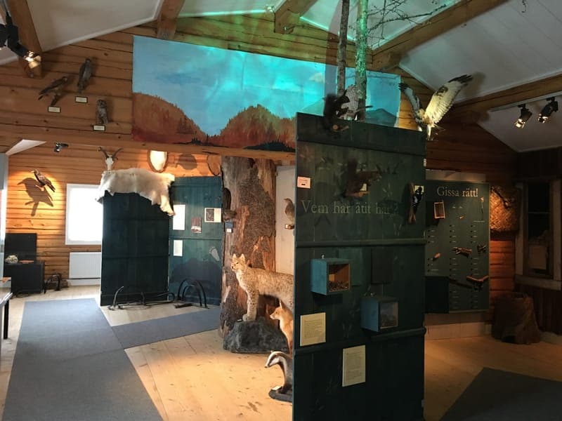 Jakt och fiskeutställning