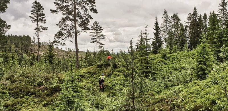 MTB-leder i Vägsjöfors