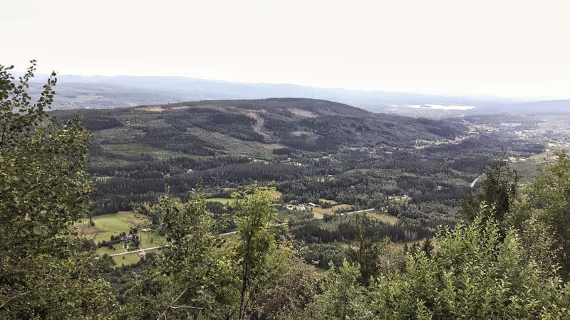 Naturreservat i Torsby kommun