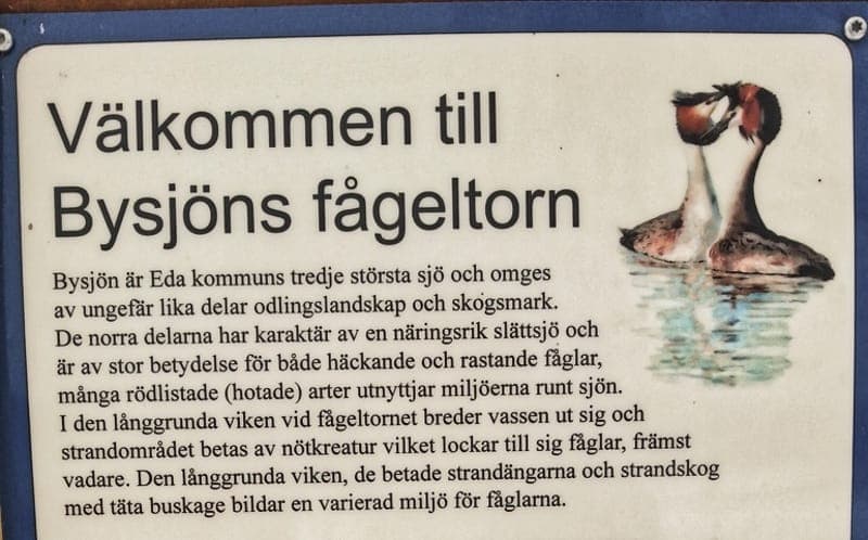 Bysjöns Fågeltorn