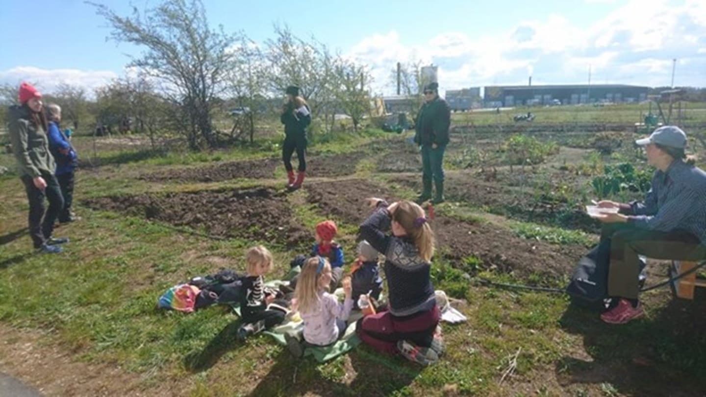 Var med och odla med oss - Intresseanmälan - Tillsammansodling Visby