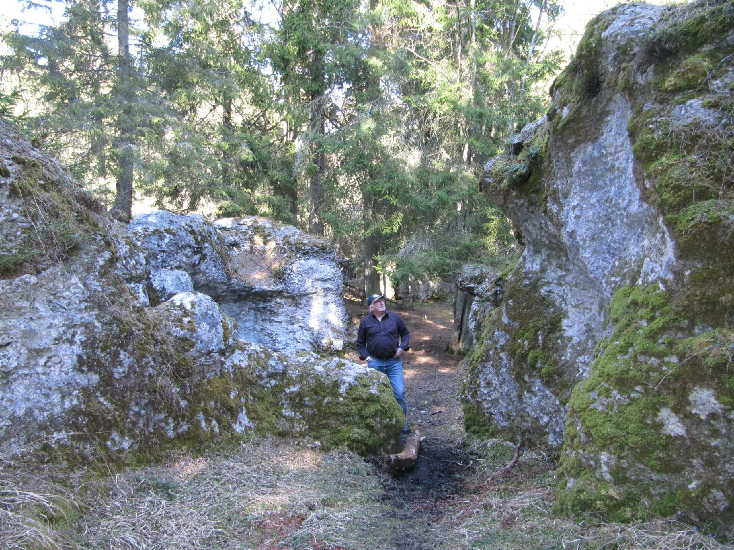 Boka din personliga guide för små sällskap