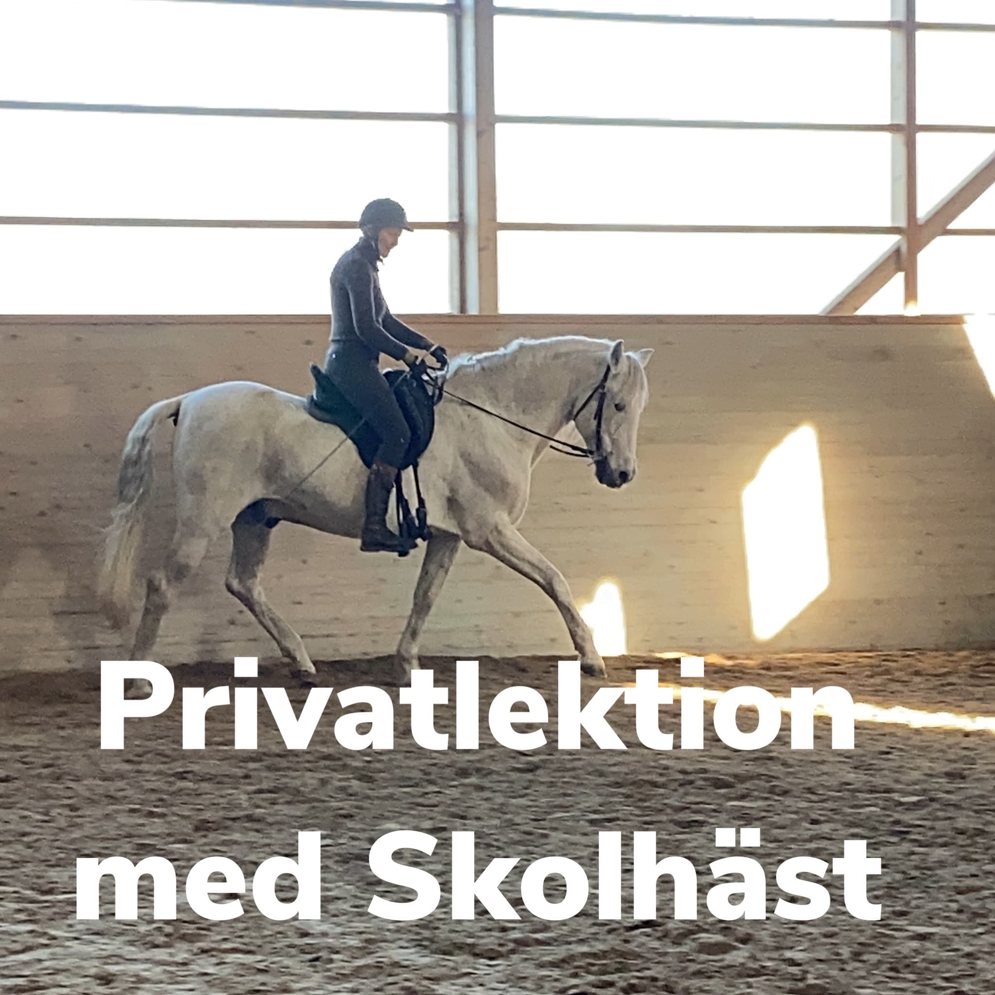 Erfaren Vuxen Ridlektion