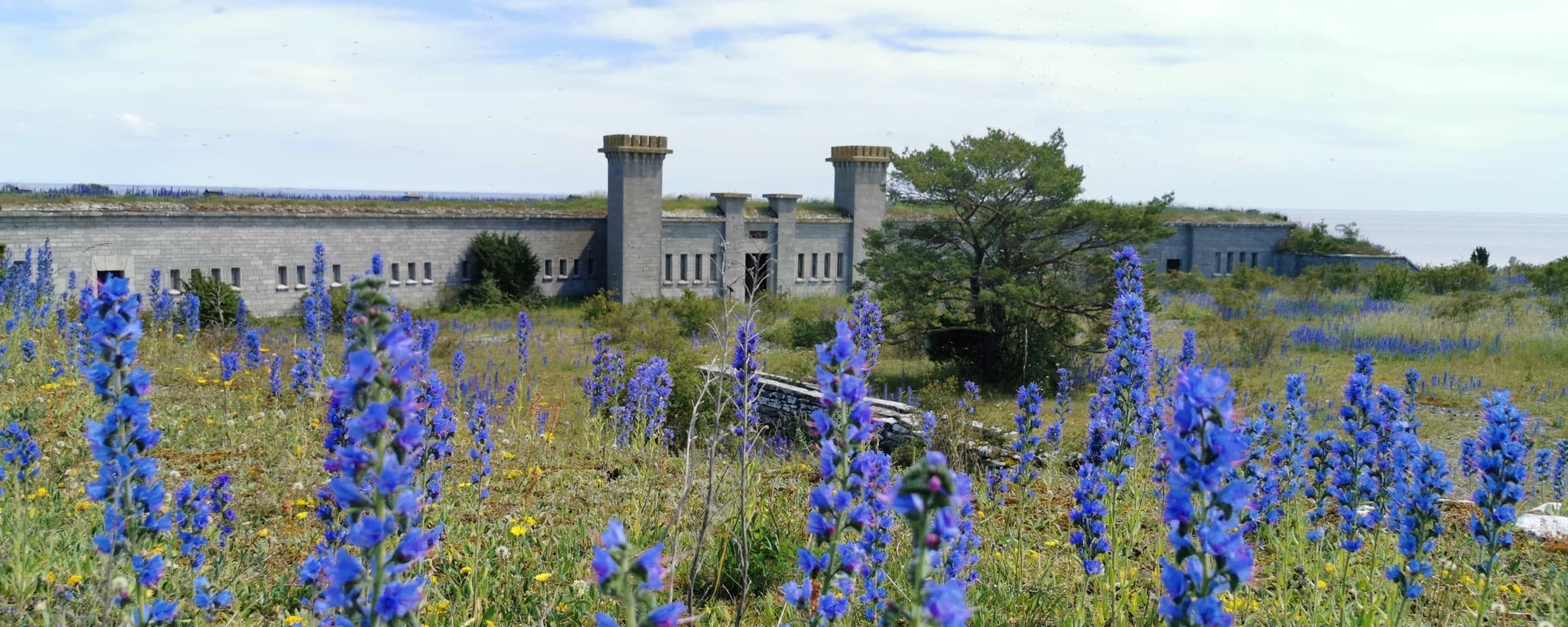 Guidad dagsutflykt till Enholmen