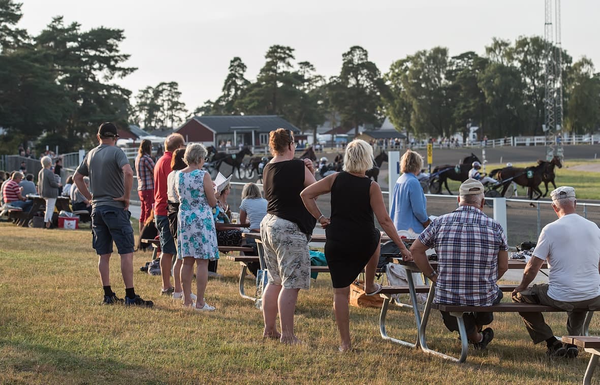 Sommartrav på Skrubbs