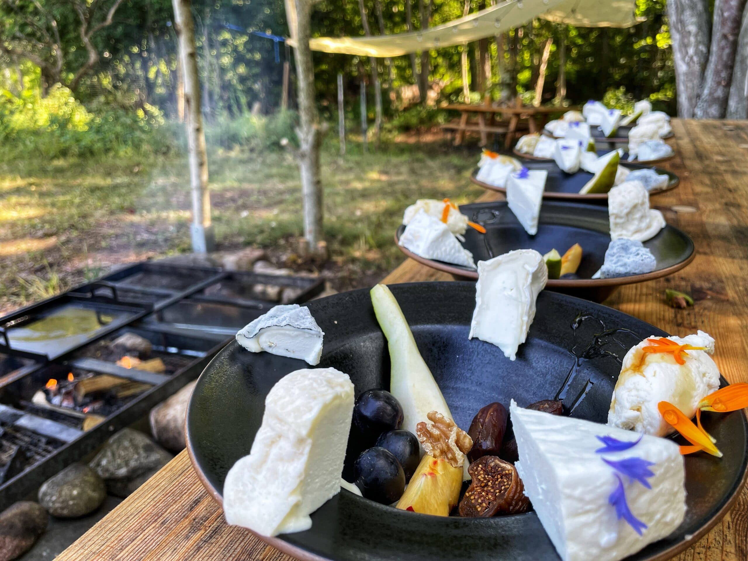 Cheese & Farm Experience