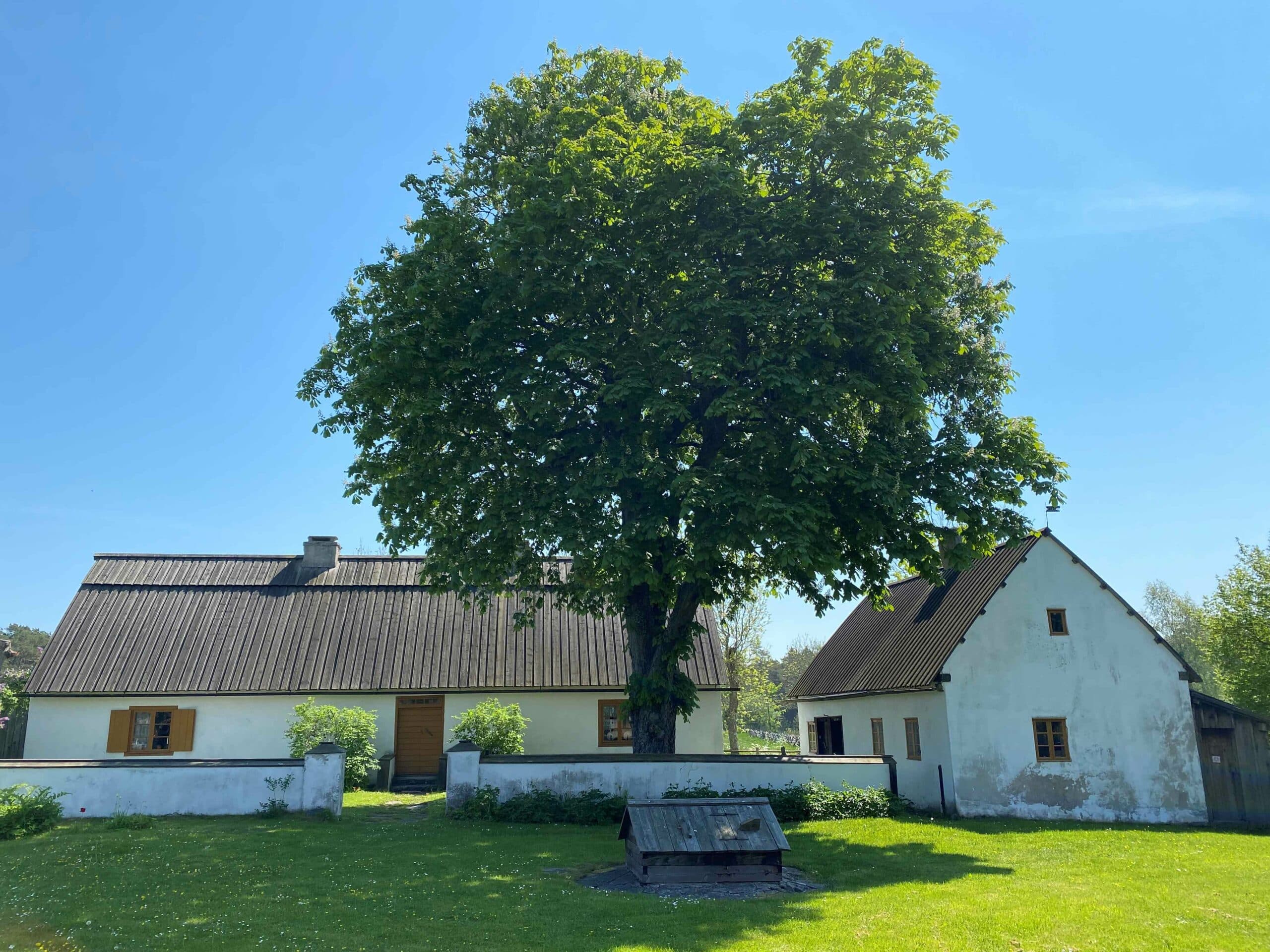 Besök Vike Minnesgård, nära havet och nära Slite