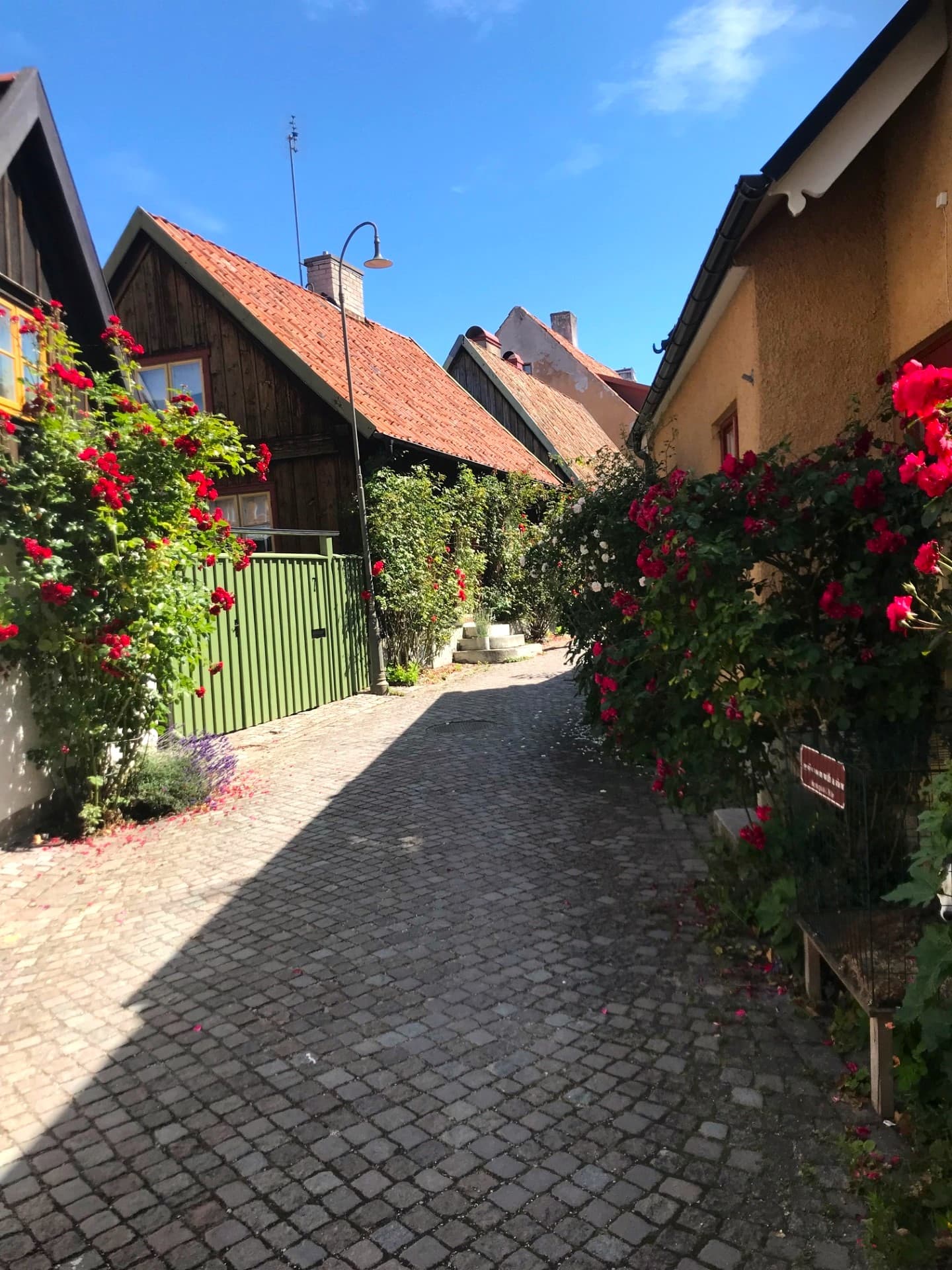 Guidad stadsvandring i Visby