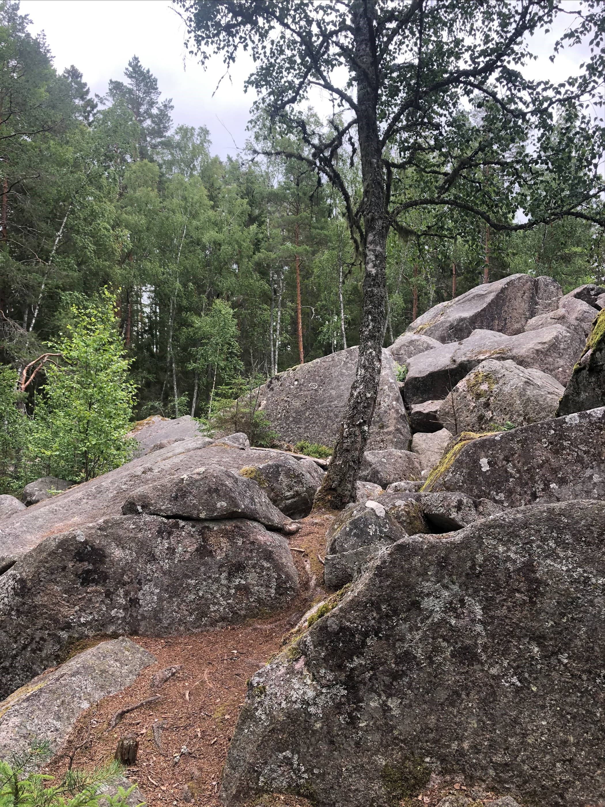Äventyr för hela familjen i Kanaberg